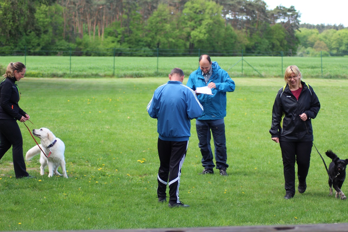 Hundefreunde Schulzendorf Veranstaltungen